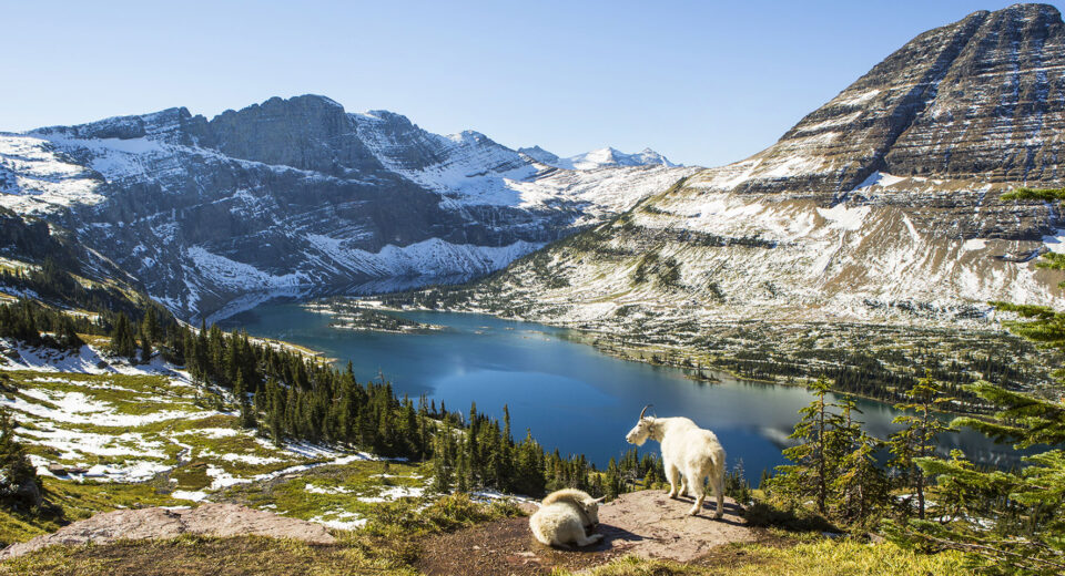 When Embarking On A Road Trip Through Montana And Wyoming